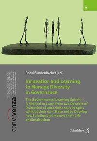 Innovation and Learning to Manage Diversity in Governance